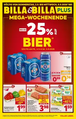 Billa (gültig bis 10-09)