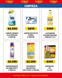 Catálogo Autoservicio Capo semana 35 Página 8
