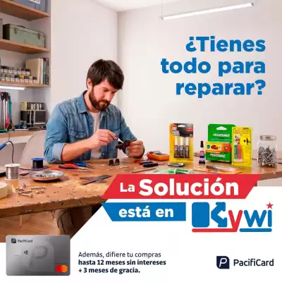 Kywi (válido hasta 31-08)