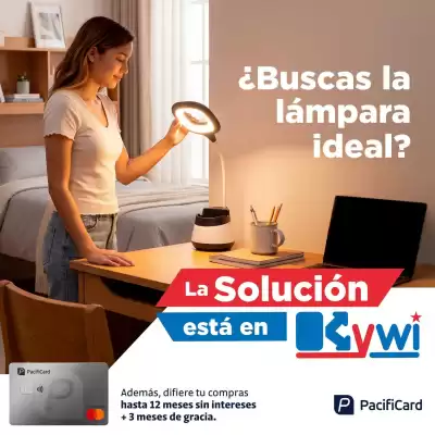 Kywi (válido hasta 31-08)