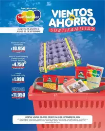 Catálogo Surtifamiliar Página 3