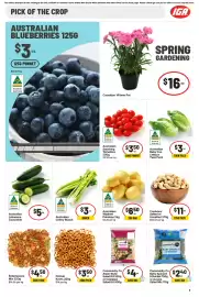 IGA catalogue week 36 Page 8