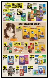 Dollar General weekly ad week 36 Page 14: Kibbles ‘n Bits €4,95, Pedigree Dentastix Dog Treats €4,00