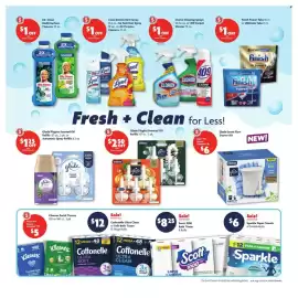 Family Dollar weekly ad Page 7: Cottonelle Ultra Clean or Soft Bath Tissue €12,00, Sparkle Paper Towels €6,00