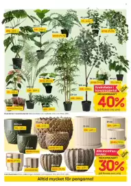 Rusta reklamblad vecka 36 Sida 7: Inomhuskrukor €49,00, Krukväxter i konstmaterial €79,00