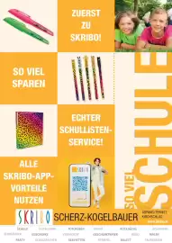 Skribo Flugblatt Seite 1