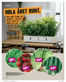 Hornbach reklamblad Sida 14: FLORASELF Spenatfrön ’Matador’ €26,90, HASSELFORS GARDEN Tomatfrön ’Tiny Tim’ €34,90