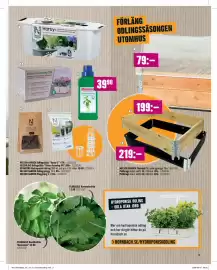 Hornbach reklamblad Sida 15: NELSON GARDEN Odlingslåda ”Harvy 3” €479,00, FLORASELF Korianderfrön €13,90