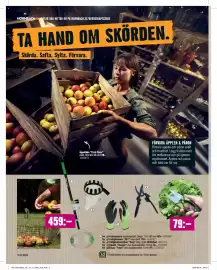 Hornbach reklamblad Sida 16: Fruktsamlare €459,00, Trädgårdshandskar ”Easy” €39,90