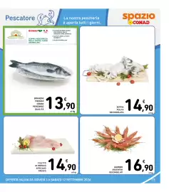 Volantino Spazio Conad Pagina 15: Gamberi argentini decongelati €16,90, Branzini freschi Conad Percorso Qualità €13,90