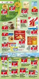 Folleto Dia semana 36 Página 8: Asturiana llet sense lactosa desnatada €1,17, Dia Fruticampo préssec light en almívar €1,45