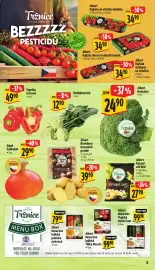 Albert leták | Supermarket Strana 11