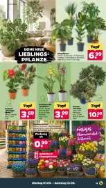 Netto Prospekt woche 37 Seite 21