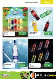 Tamda Foods leták týden 36 Strana 13
