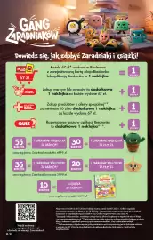 Biedronka gazetka tydzień 36 Strona 40