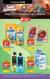 Biedronka gazetka tydzień 36 Strona 48