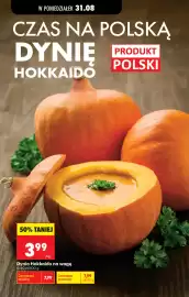 Biedronka gazetka tydzień 36 Strona 49
