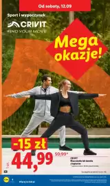 Lidl gazetka tydzień 37 Strona 4
