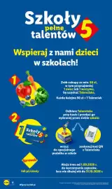 Lidl gazetka tydzień 37 Strona 6