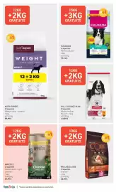 Catalogue Tom&Co page 2: APPETITE Croquettes €69,99, WELLNESS CORE Croquettes Original €68,89