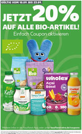 Kaufland Prospekt Seite 10