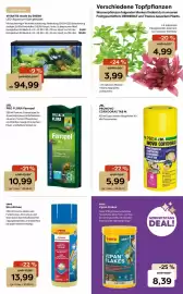 ZOO & Co Flugblatt woche 36 Seite 11: JBL Pronovo Corydoras Tab M €5,99, Sera bio nitrivec €13,99