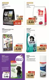 ZOO & Co Flugblatt woche 36 Seite 8: Beaphar Dimethicare Anti-Floh Fogger €12,99