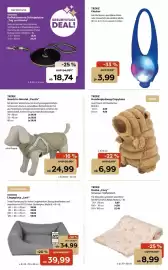 ZOO & Co Flugblatt woche 36 Seite 9: Azoona Reflektierende Schleppleine €18,74, TRIXIE Hundespielzeug Capybara €6,99