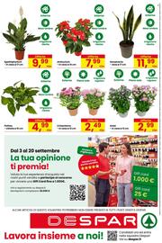 Volantino Despar Pagina 16: Anthurium €7,99, Aster €2,99