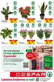 Volantino Despar Pagina 16: Anthurium €7,99, Aster €2,99
