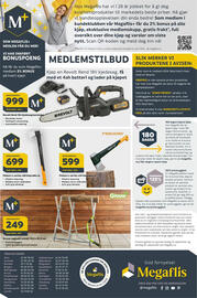 Megaflis kundeavis Side 40