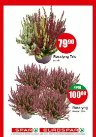 Spar kundeavis uke 36 Side 12: Røsslyng Garden Girls €100,00, Røsslyng Trio €79,90
