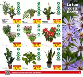 Volantino Eurospar Pagina 3: Sanseveria €11,99, ANTHURIUM €7,99