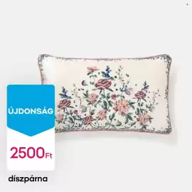 Pepco akciós újság hét 36 Oldal 3: Díszpárna €2.500,00