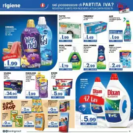 Volantino Boningros Cash and Carry Pagina 19: Ace Detergente spray candeggina gentile €1,99, Bref Palline wc duopack €2,49
