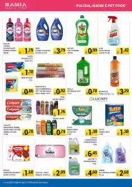 Volantino Samia Cash and Carry Pagina 6: Brilla detersivo piatti €0,78, Mr.Muscle idraulico gel €3,29