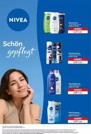 METRO Prospekt woche 37 Seite 17