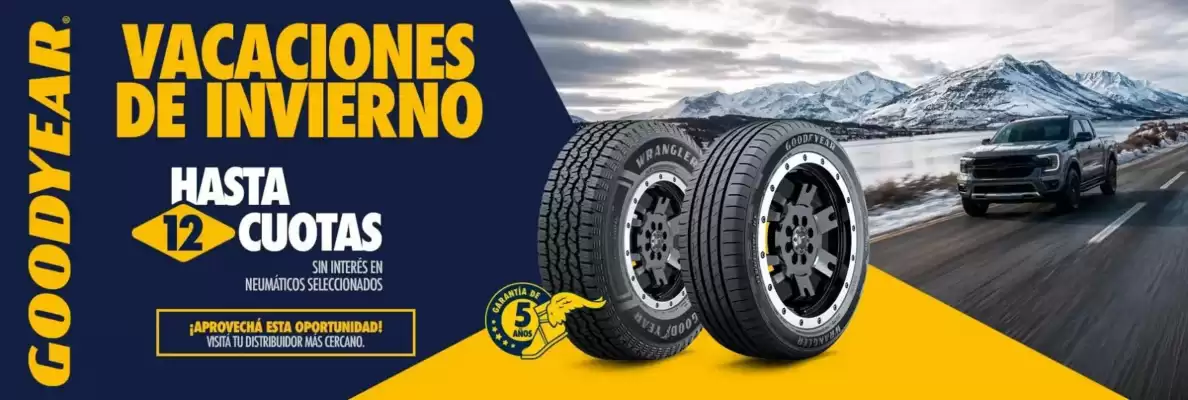 Goodyear (válido hasta 19-09)