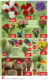 Kaufland DE folder week 36 Pagina 9
