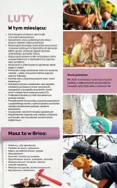 Bricomarche gazetka Strona 101