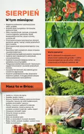 Bricomarche gazetka Strona 107
