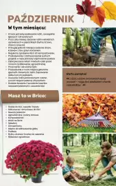 Bricomarche gazetka Strona 109