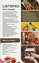Bricomarche gazetka Strona 110