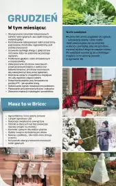 Bricomarche gazetka Strona 111