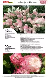 Bricomarche gazetka Strona 27