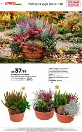 Bricomarche gazetka Strona 29
