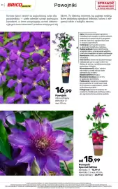 Bricomarche gazetka Strona 31