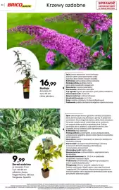 Bricomarche gazetka Strona 34