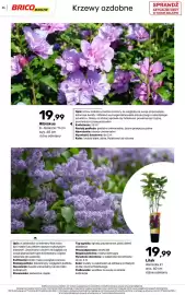 Bricomarche gazetka Strona 35