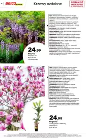 Bricomarche gazetka Strona 36